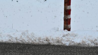 Χρώμα στο χιόνι